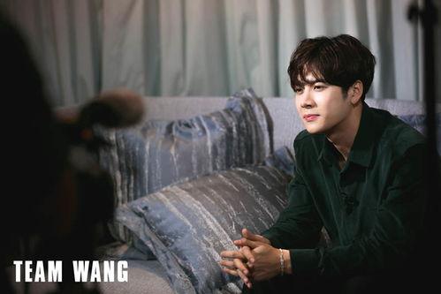 王嘉尔最新爆料视频大全,揭秘明星幕后故事  第3张