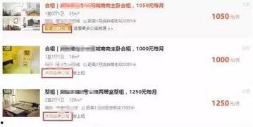 最新爆料房租出租信息,城市核心地段房租出租,价格透明抢眼! 第2张 最新爆料房租出租信息,城市核心地段房租出租,价格透明抢眼! 第2张