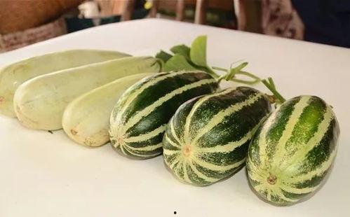 857爆料吃瓜网红,吃瓜爆料背后的真相与争议 第3张 857爆料吃瓜网红,吃瓜爆料背后的真相与争议 第3张